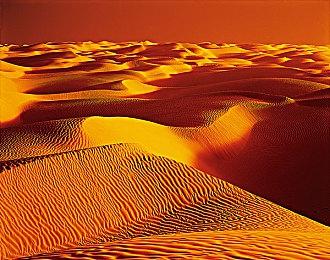 《龙腾世纪：影障守护者》游戏总监解释本作无法操作同伴的原因