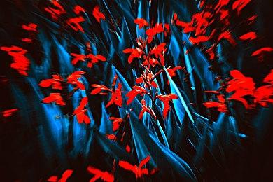 《异度神剑3》数字版开启预载 7月29日正式解锁