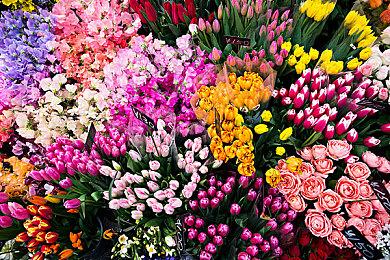 CI Games：西方开发者在开发角色上真应该学习中国的同行